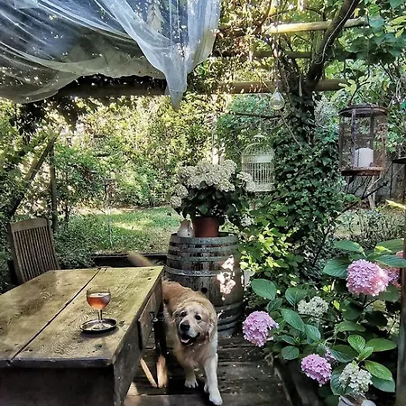 Bed & Breakfast Cucuti 4*