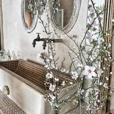 Bed & Breakfast Cucuti