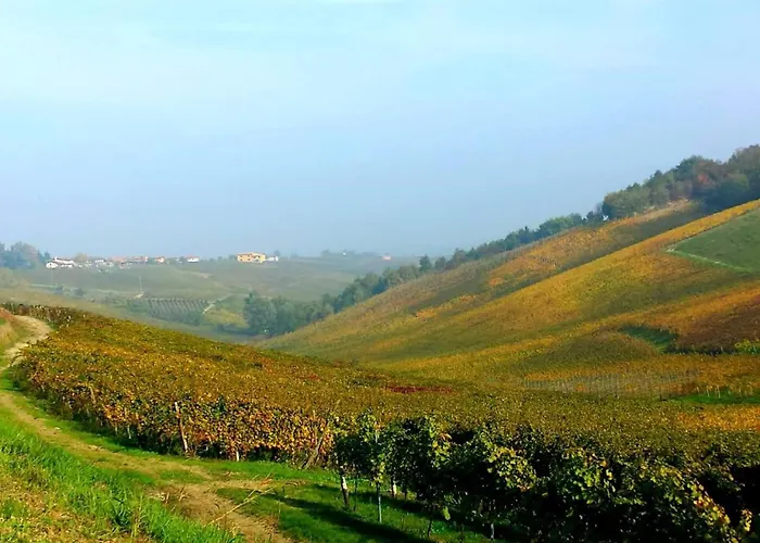 לינה וארוחת בוקר Cucuti 4*