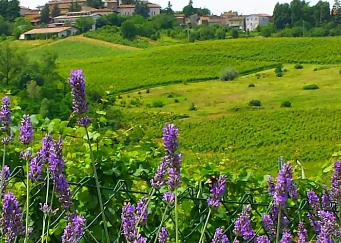 Cucuti Отель типа 